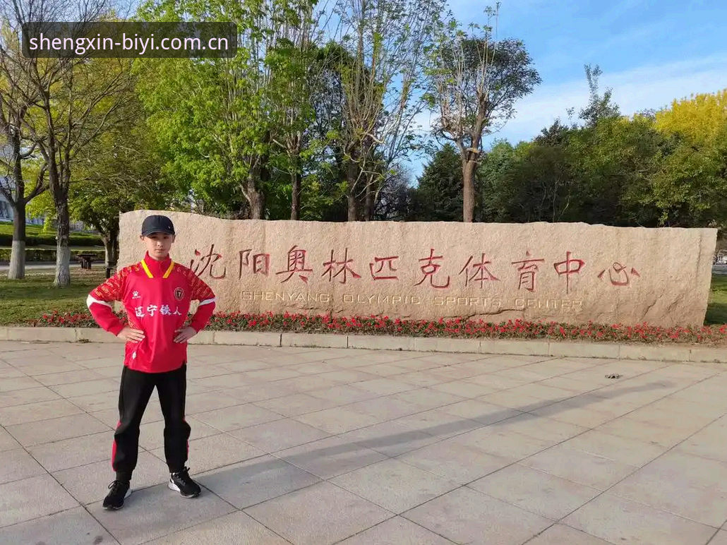 每一次进入都更省心V2网页入口 辽宁铁人换帅换血vs三中卫战术:一场赌博式自救与看客的省心体验